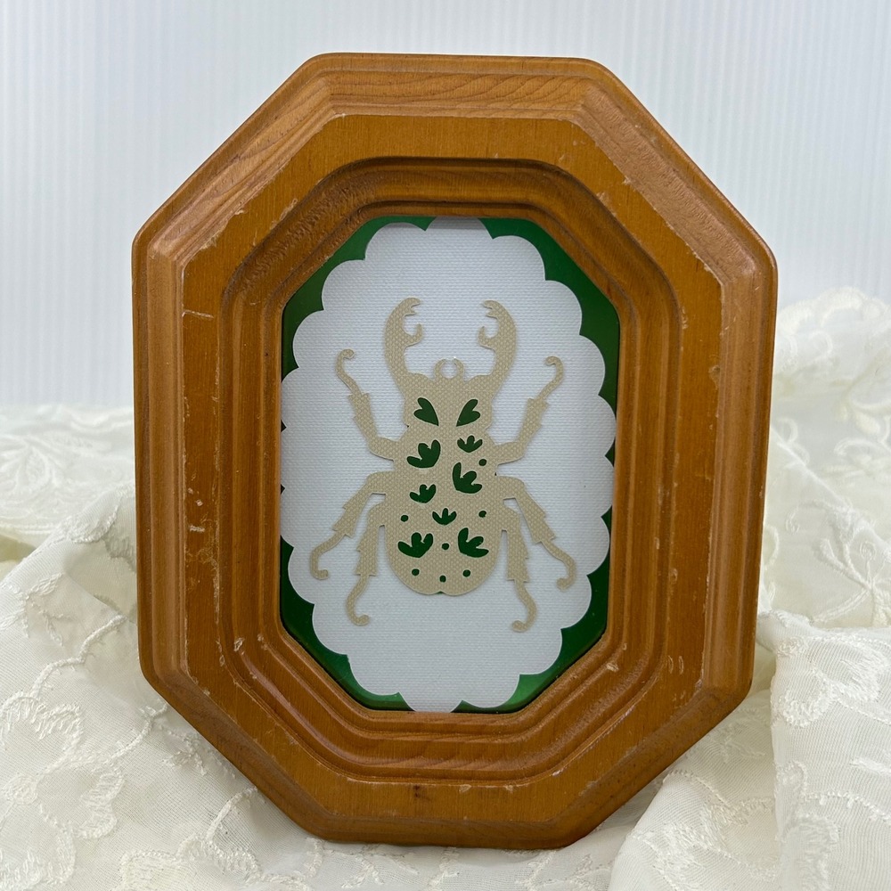 Vintage Wooden Framed Beetle Art Taxidermy Style Cardstock Paper Handmade Art